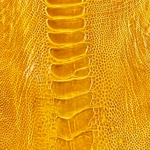 Ostrich leg skin leather tanned genuine leg skin ostrich leather