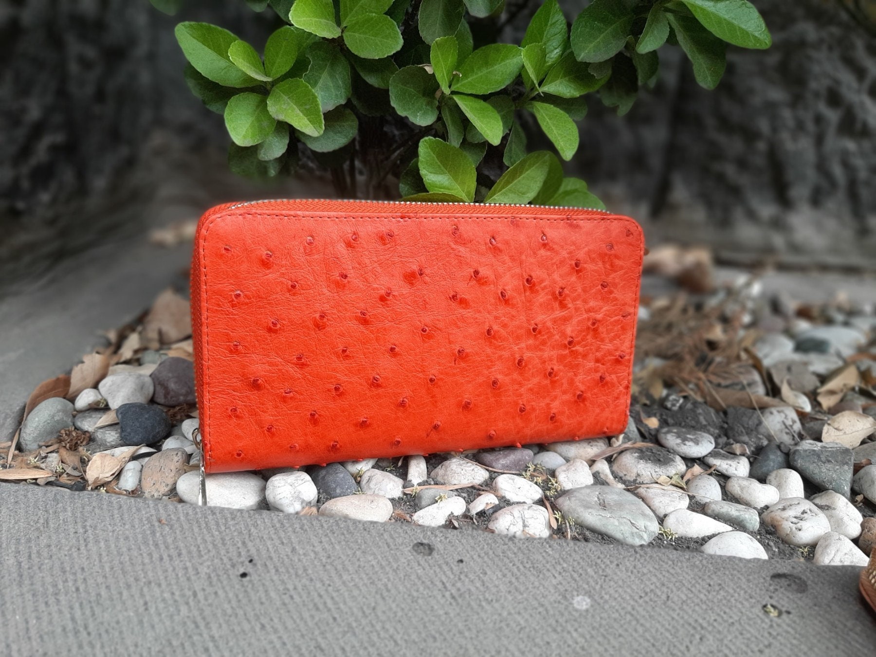 New Genuine Orange Ostrich Leather Skin Women Shoulder Mini Handbag Purse.