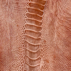 Ostrich leg skin leather tanned genuine leg skin ostrich leather