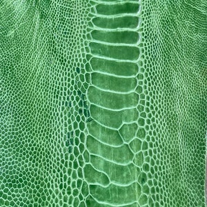 Ostrich leg skin leather tanned genuine leg skin ostrich leather