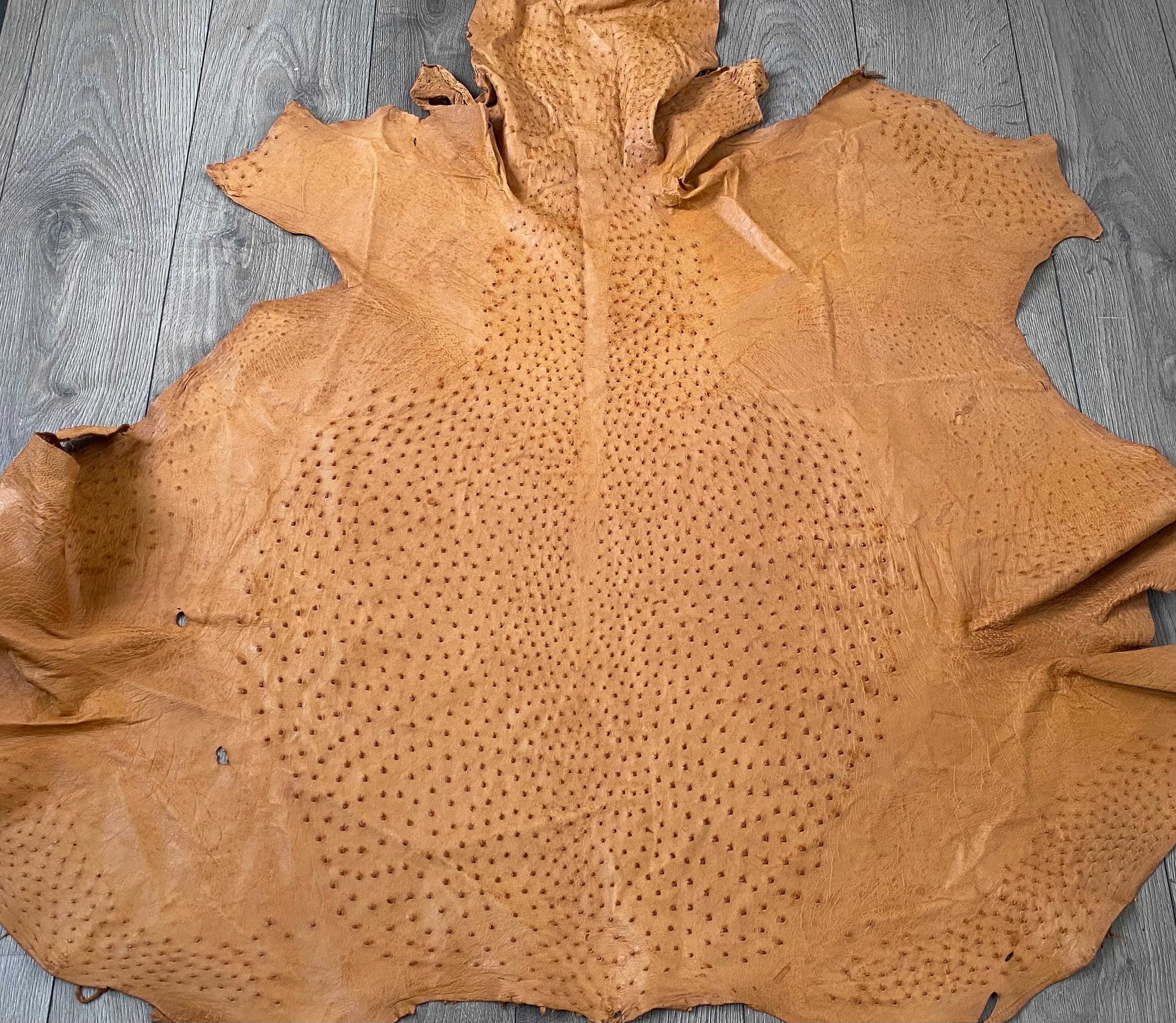 Ostrich leather deals