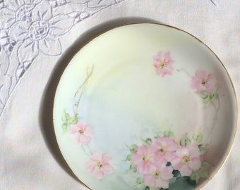 Cabinet Plate, Bavarian Handpainted Porcelain - Pink Wild Rose, 8 1/2"