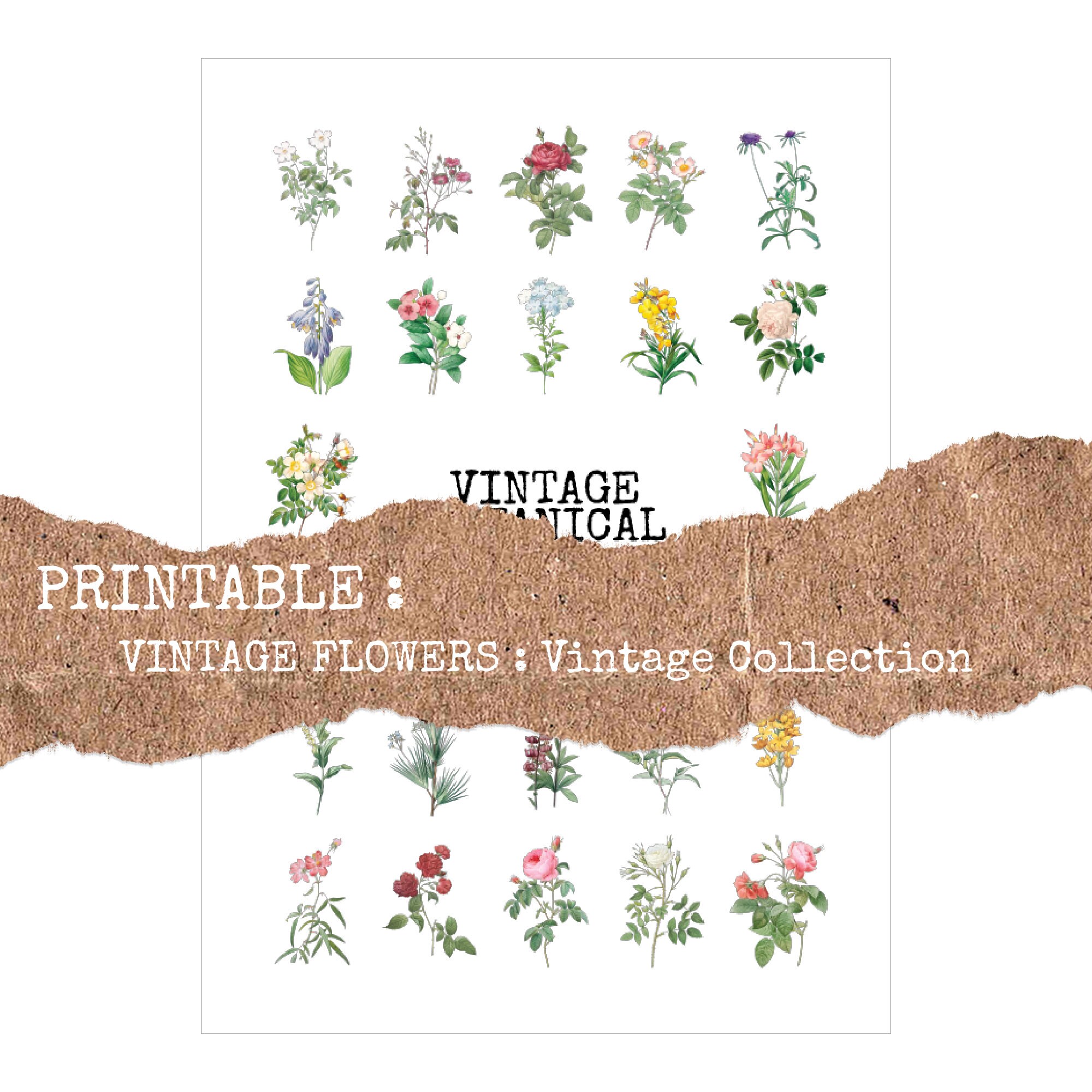 PRINTABLE Vintage Flower 300 Flowers : Vintage Botanical | Etsy
