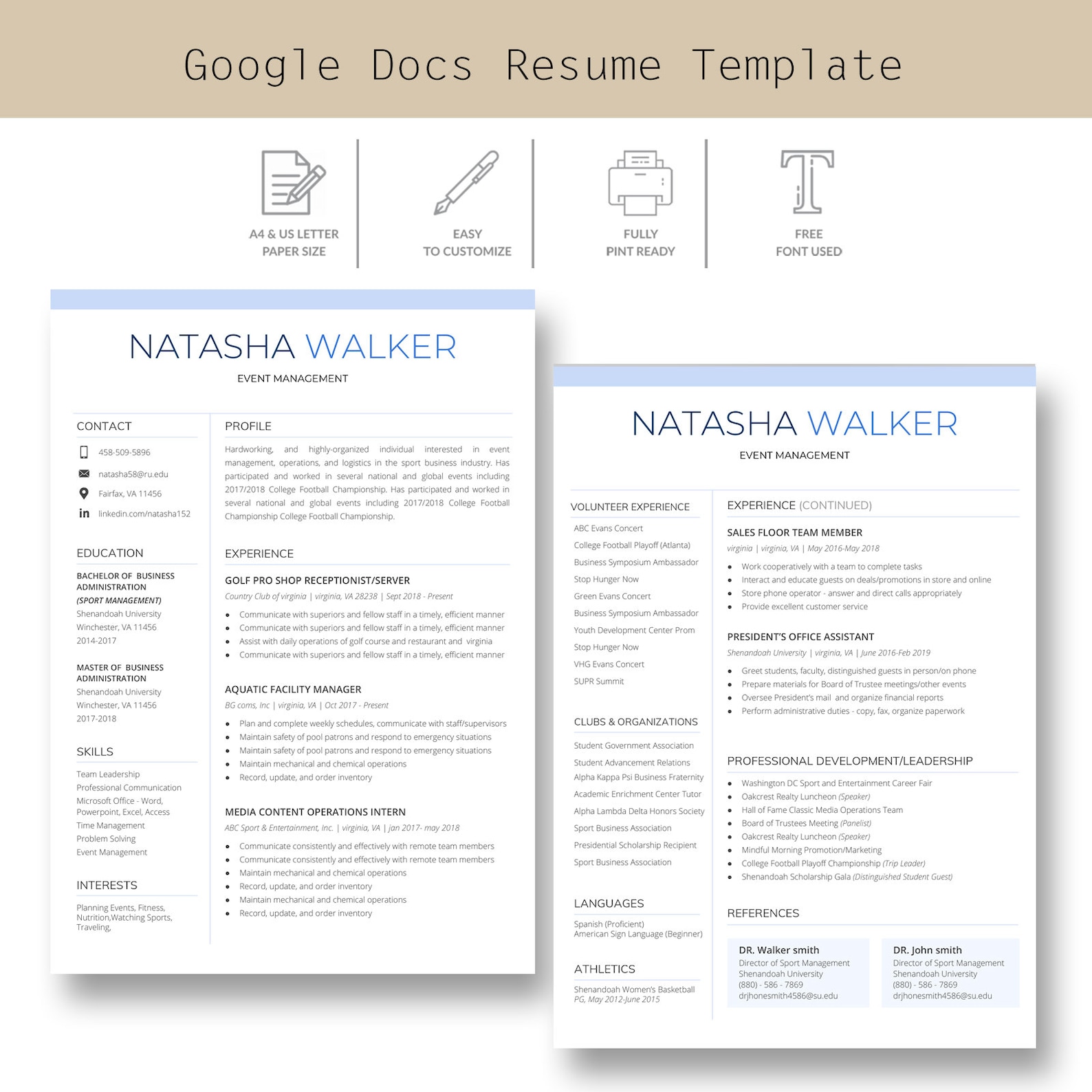 Google docs professional resume template - assethilo