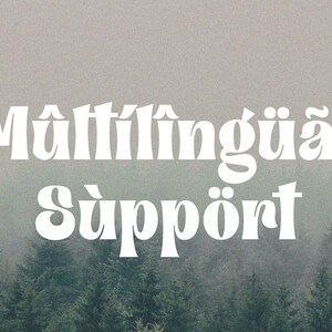May include: White text on a foggy forest background reads "Multilingual Support".