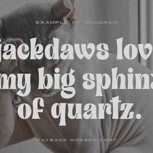 May include: A white cat with a gray background. The text "jackdaws love my big sphinx of quartz." is written in a retro font.