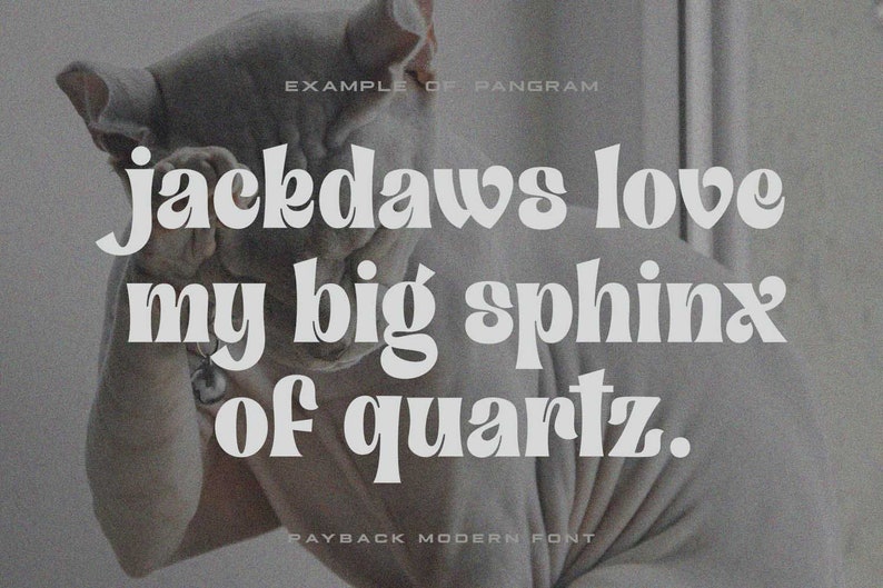 May include: A white cat with a gray background. The text "jackdaws love my big sphinx of quartz." is written in a retro font.