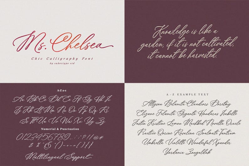 Calligraphy Display Calligraphy Font Bundle: 6 Elegant Typefaces - Etsy