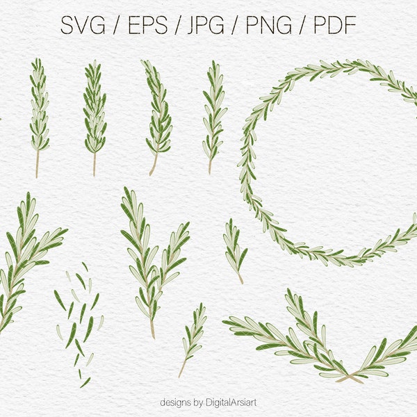 Rosemary vector illustration SVG Herbs clipart set Kitchen decor png Rosemary herb clipart Rosemary wreath Branches Eps Greenery _876