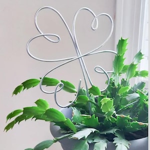 May include: A silver metal plant stake in the shape of a four-leaf clover, placed in a gray pot with a green plant. The plant has green leaves with jagged edges. The stake is made of thin, curved metal.