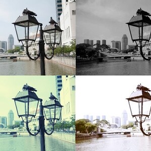 Può includere: Un lampione in metallo nero con quattro luci, ciascuna con un paralume in vetro. Il lampione è decorato con tre uccelli appollaiati in cima alle luci. Il lampione si trova in un ambiente urbano con edifici e un fiume sullo sfondo.