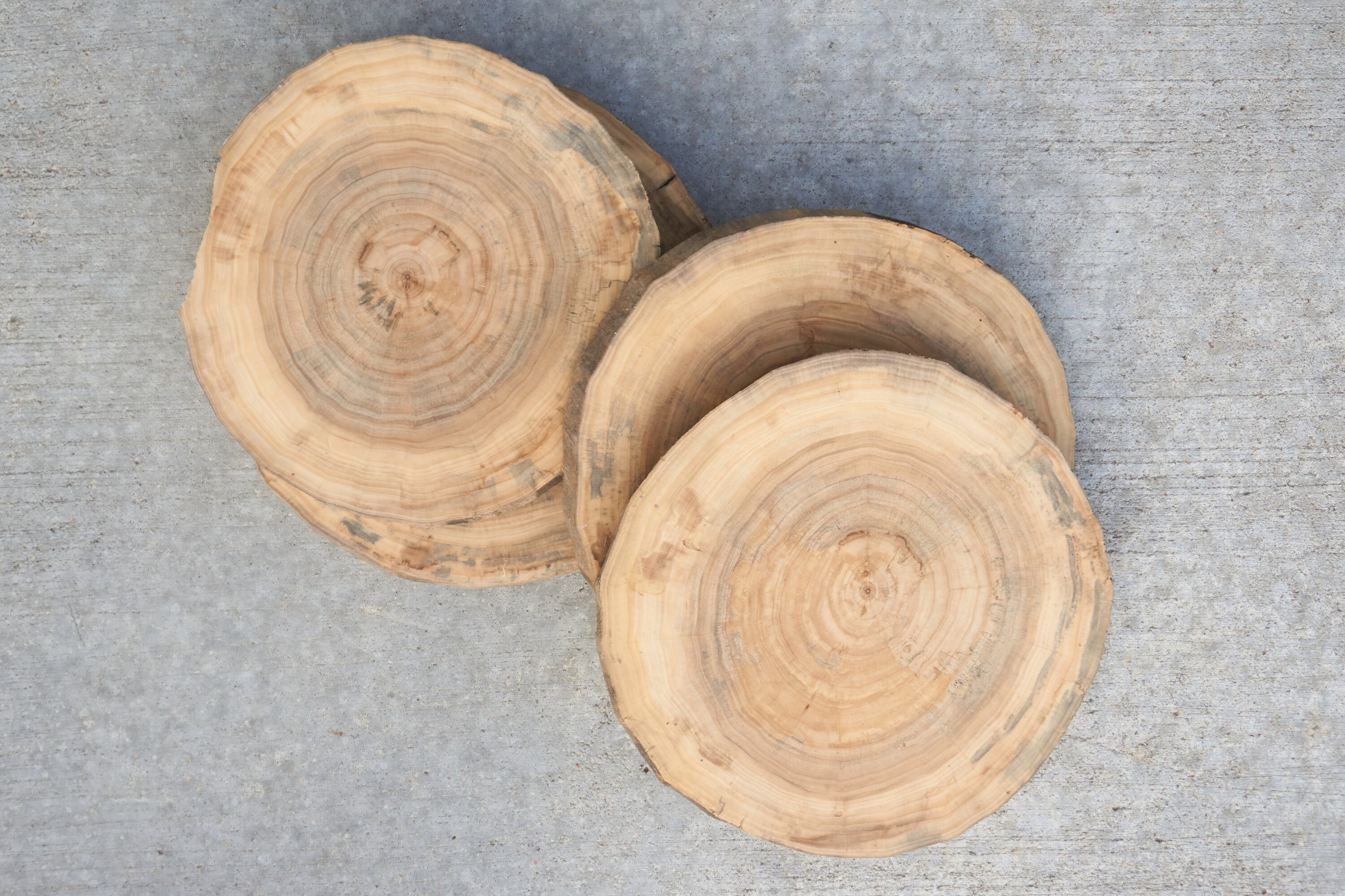 Tabla de corte de madera de algodón de tronco redondo hecha a Etsy