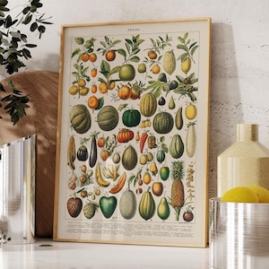 Vintage Fruit Chart Illustration: Antique Kitchen Wall Art Print for Home Decor, Retro French Poster Gift