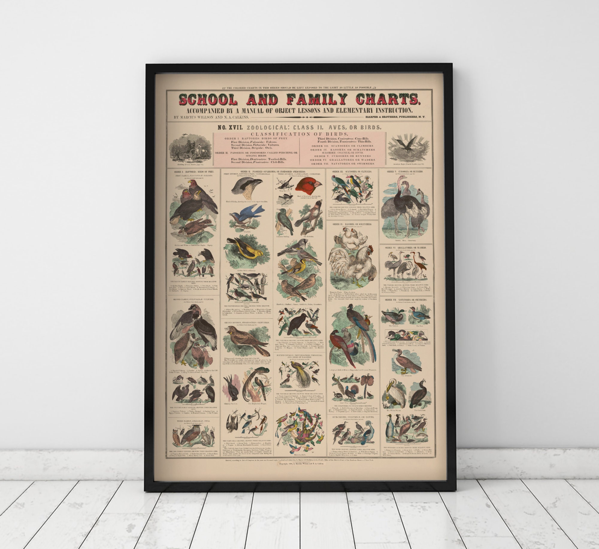 Vintage Educational Poster School & Family Charts No XVII. Etsy UK