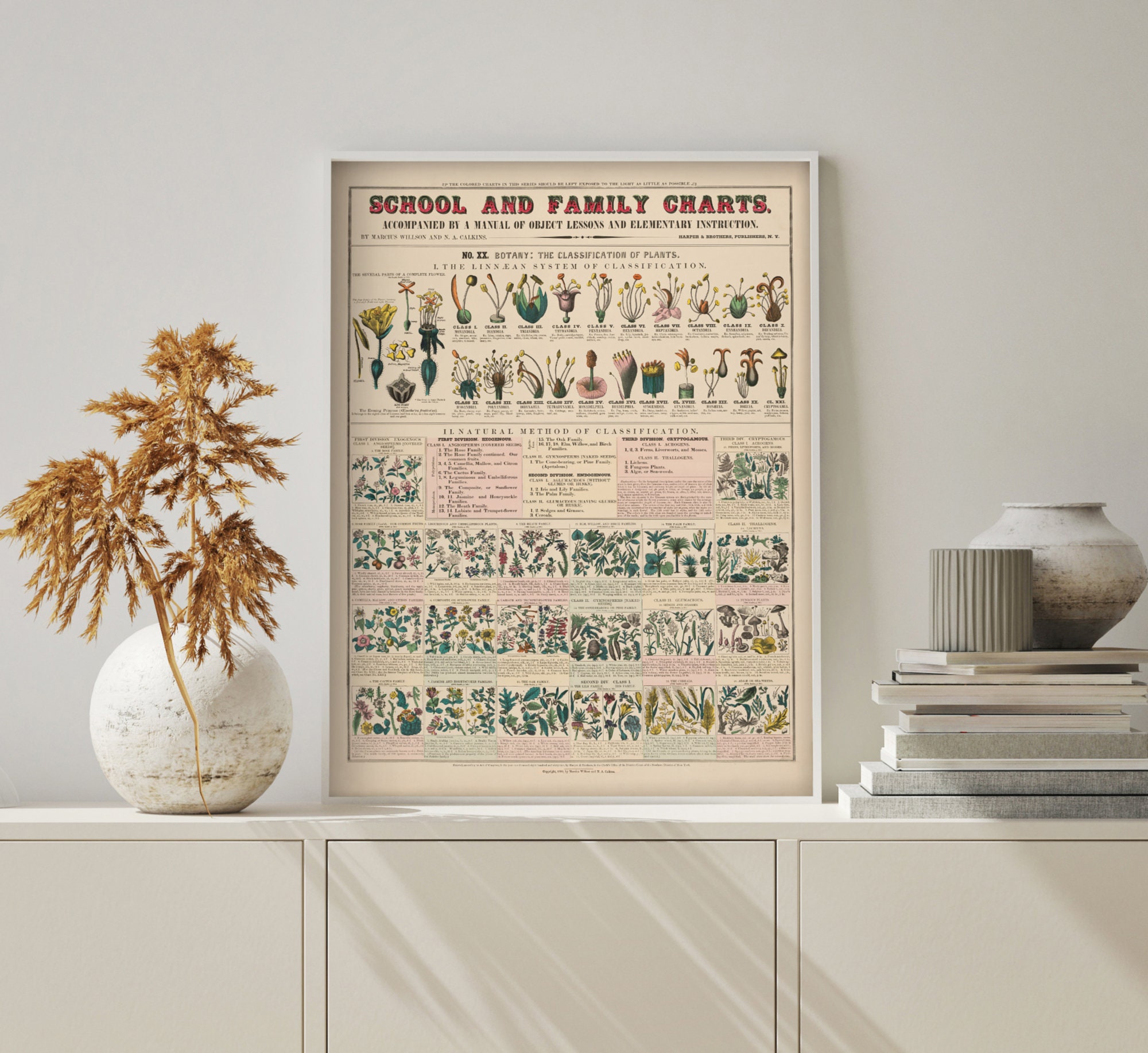 Vintage Educational Poster School & Family Charts No XX. Etsy UK