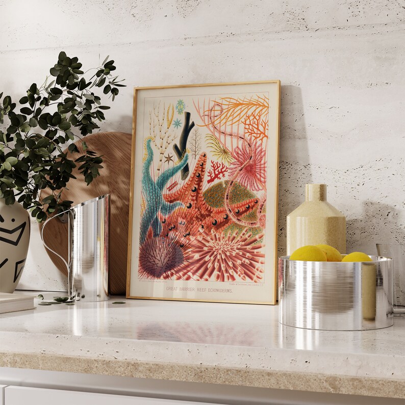 May include: A framed vintage illustration of colorful coral and sea life from the Great Barrier Reef. The illustration is in a gold frame and is displayed on a countertop with a silver pitcher and a silver bowl filled with lemons.