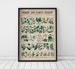 Vintage Botanical Print - Economical uses of Plants - Botanical illustration - Home Decor - Giclée Art Print 