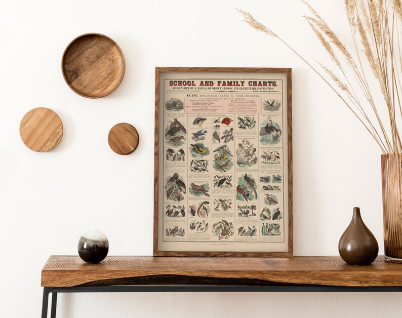 Vintage Educational Poster School & Family Charts No XVII. Etsy UK