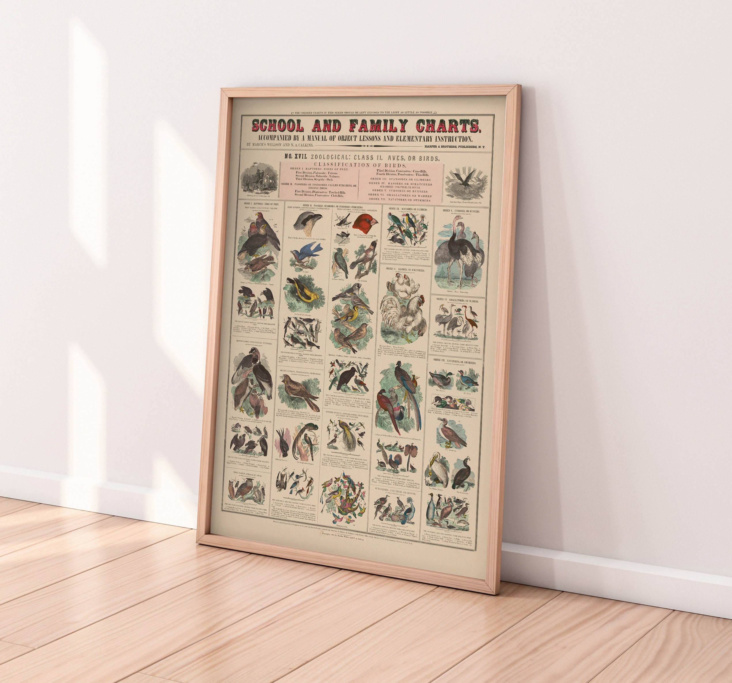 Vintage Educational Poster School & Family Charts No XVII. Etsy UK