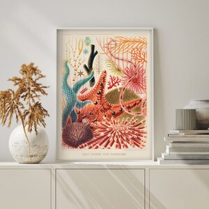 May include: A vintage botanical illustration of colorful coral and sea life from the Great Barrier Reef. The illustration features a variety of coral species, including brain coral, staghorn coral, and soft coral. The colors are vibrant and detailed, and the illustration is a beautiful example of the diversity of life in the ocean.