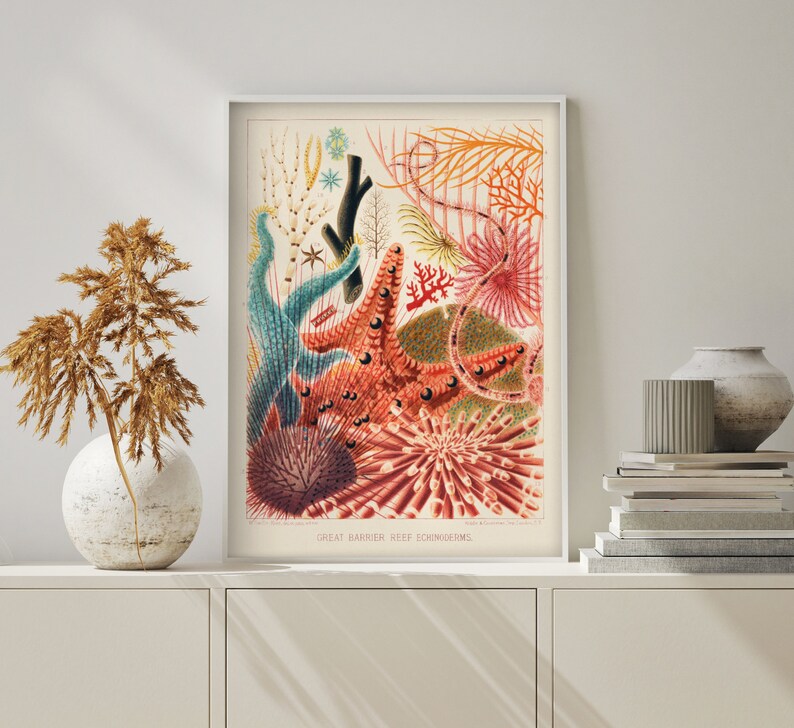May include: A vintage botanical illustration of colorful coral and sea life from the Great Barrier Reef. The illustration features a variety of coral species, including brain coral, staghorn coral, and soft coral. The colors are vibrant and detailed, and the illustration is a beautiful example of the diversity of life in the ocean.