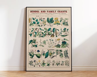 Vintage Botanical Print - Economical uses of Plants - Botanical illustration - Home Decor - Giclée Art Print