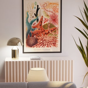 May include: A vintage illustration of colorful sea life from the Great Barrier Reef. The illustration features a starfish, sea urchins, and coral in shades of red, orange, pink, and blue.
