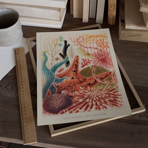 May include: A vintage illustration of various sea creatures from the Great Barrier Reef, including starfish, sea urchins, and coral. The illustration is in a vibrant color palette of red, orange, pink, blue, and green.