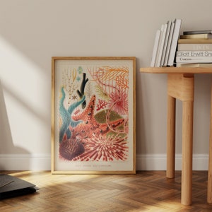 May include: A framed vintage illustration of colorful coral and starfish from the Great Barrier Reef. The illustration is in shades of pink, red, orange, yellow, blue, and green.