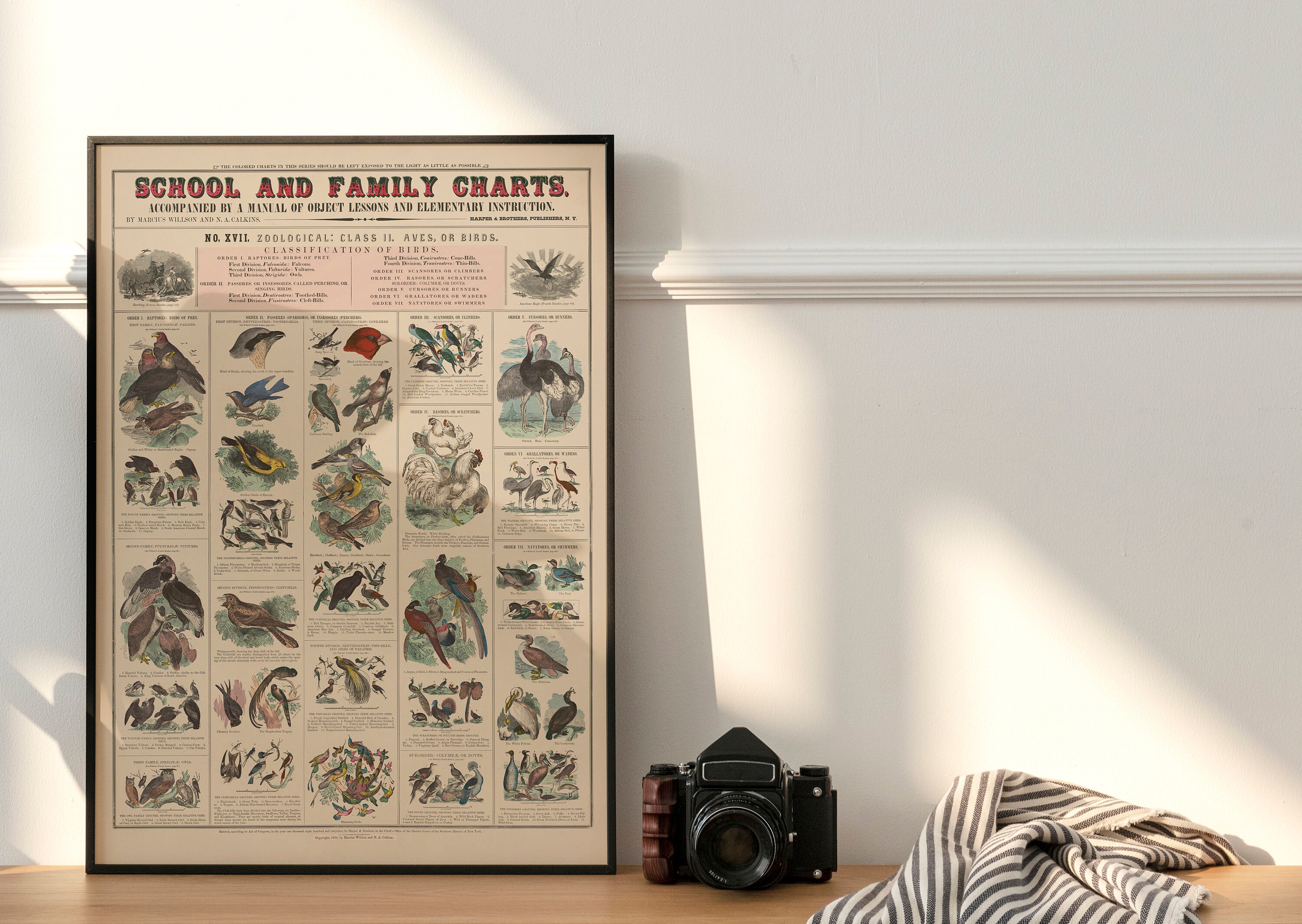 Vintage Educational Poster School & Family Charts No XVII. Etsy UK