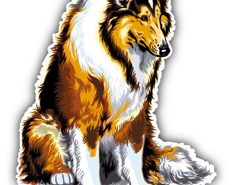 Long Haired Collie Etsy