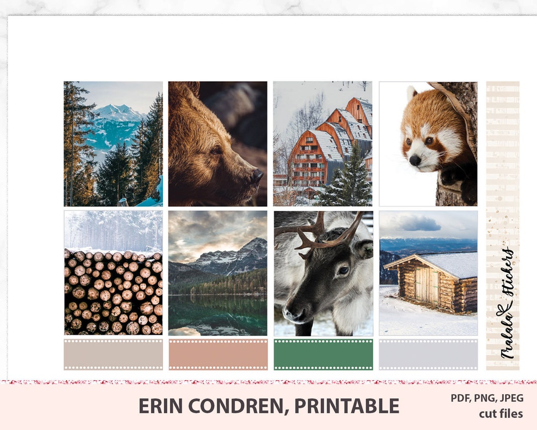 Printable Erin Condren Planner Stickers, Nature Photo Kit, Winter ...