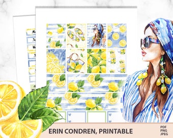 Kit de pegatinas imprimibles para planificador de Erin Condren, juego vertical de limonada, kit de planificador semanal con temática de frutas de verano con limones, pegatinas para diario