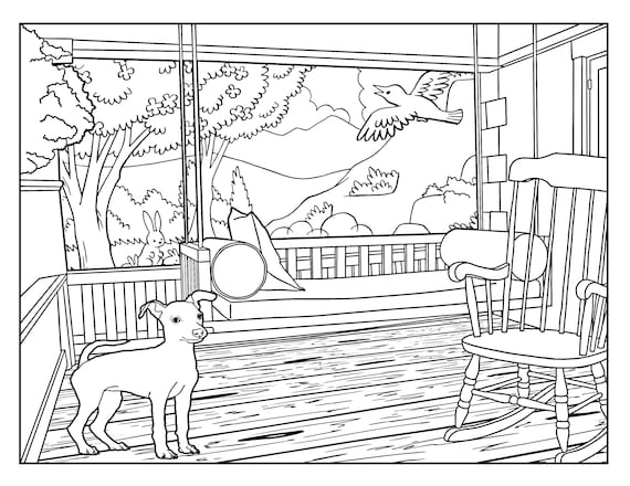 Front Porch Around The House Coloring Pages For Adults 1 Etsy