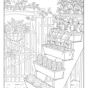 cactus garden garden gallery coloring pages for adults 1 etsy ireland