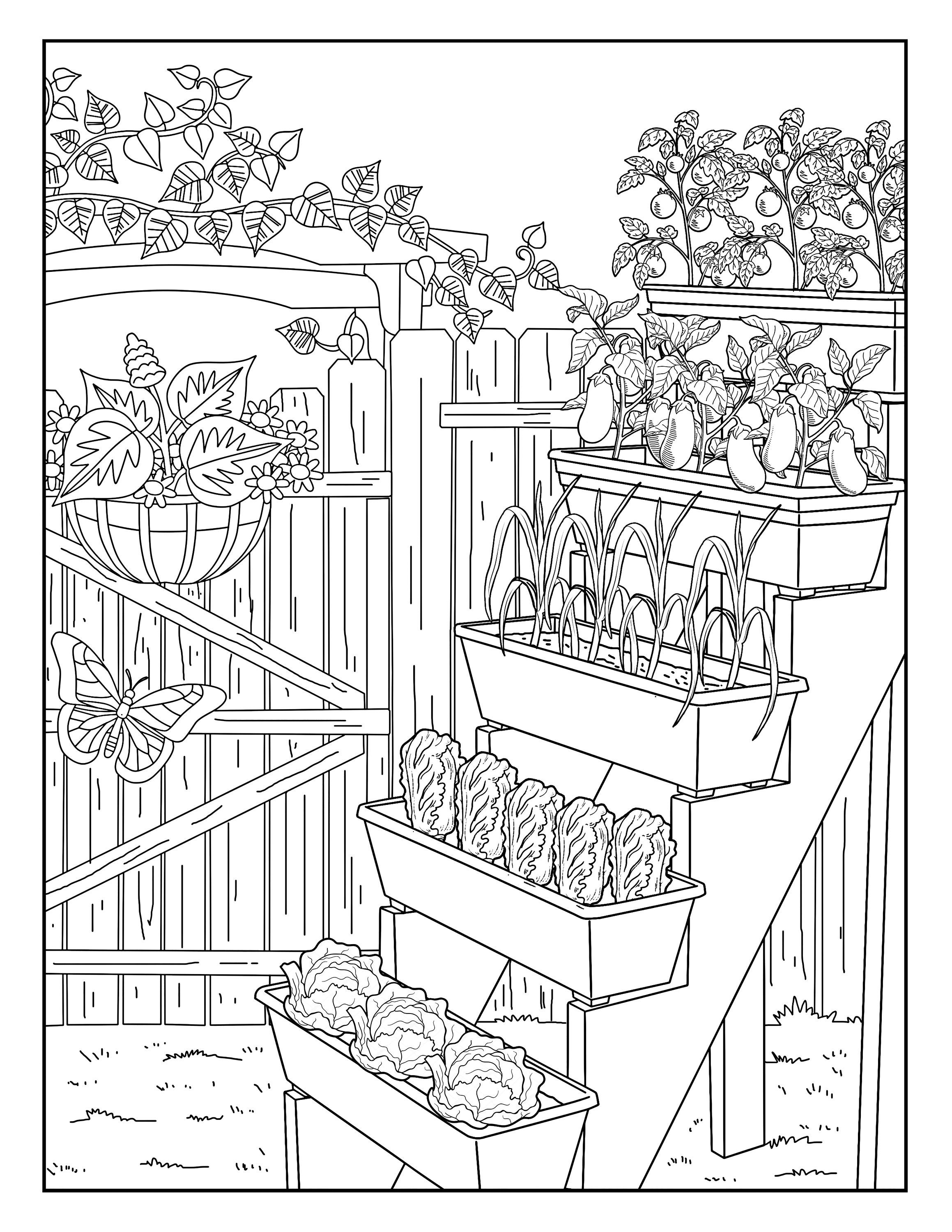 17 Free Printable Vegetables Eggplant Coloring Pages AmmieRomano
