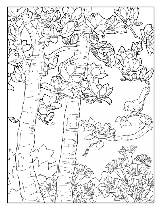 garden gallery coloring pages for adults 12 printable etsy