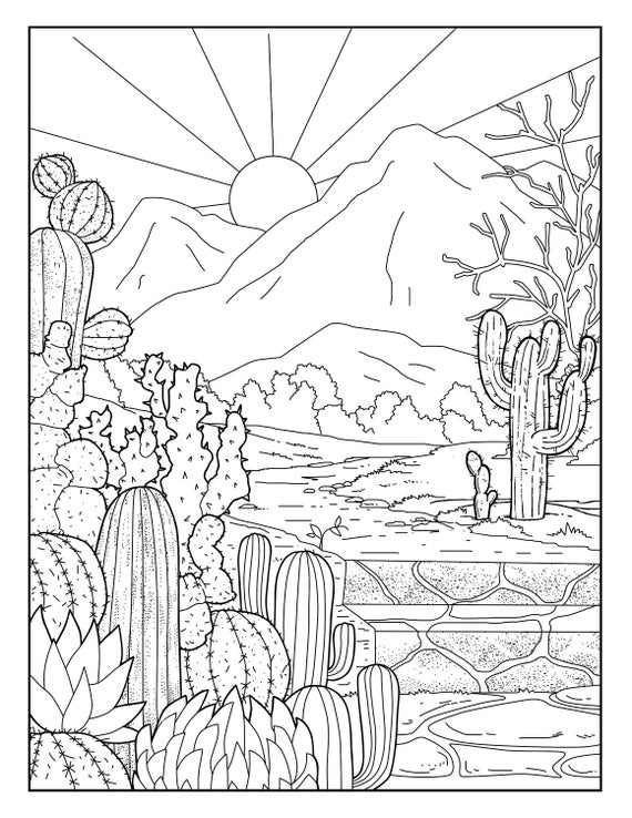 16 Page Printable Road Trip Floral Coloring Book DIGITAL DOWNLOAD Adult  Coloring Pages Printable PDF Simple Coloring Pages 