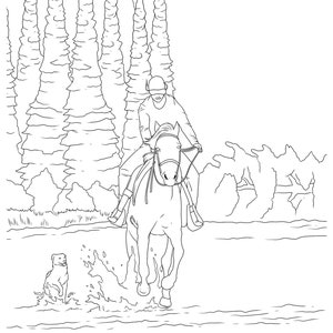 Cowgirls & Horses, Coloring for Adults, 9 Printable Coloring Pages, Instant Download PDF image 4