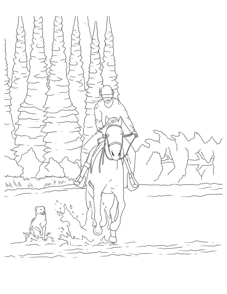 Cowgirls & Horses, Coloring for Adults, 9 Printable Coloring Pages, Instant Download PDF image 4