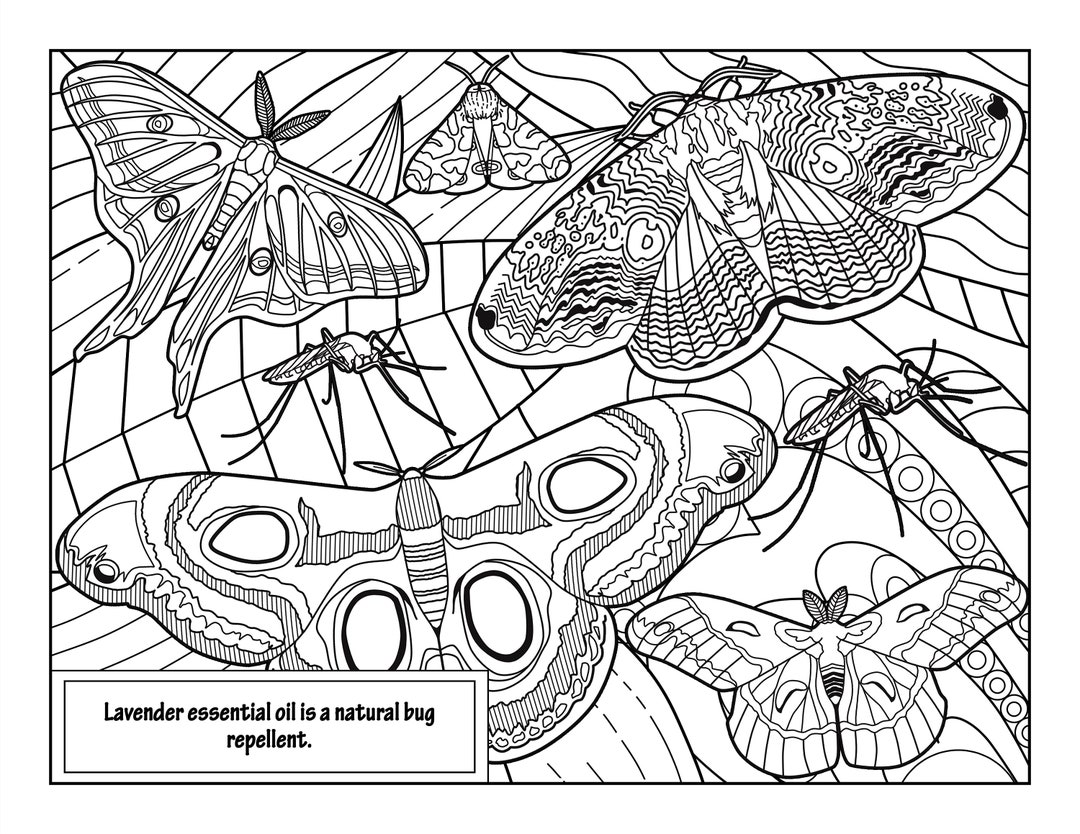 Lavender 5 Coloring Pages for Adults 2 Printable Coloring - Etsy