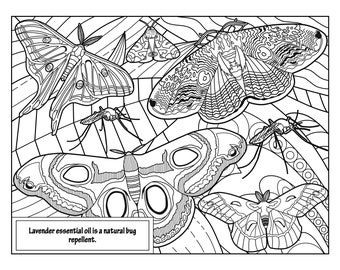 Lavender 5, Coloring Pages for Adults, 2 Printable Coloring Pages, Instant Download PDF