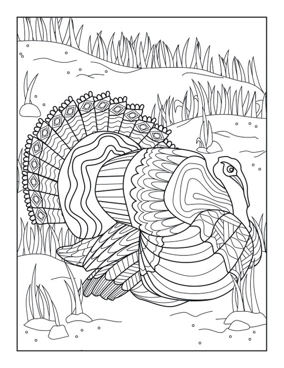Turkey Coloring Pages For Adults / Thanksgiving Coloring Pages Doodle Art Alley - If you would like to download it, right click on the pictures and use the save image as menu.
