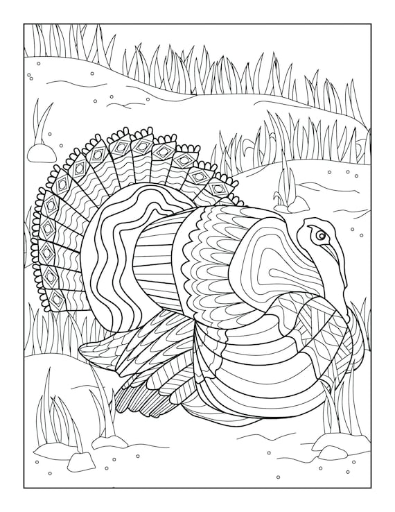 Turkey Coloring Pages For Adults / Thanksgiving Coloring Pages Doodle Art Alley - If you would like to download it, right click on the pictures and use the save image as menu.