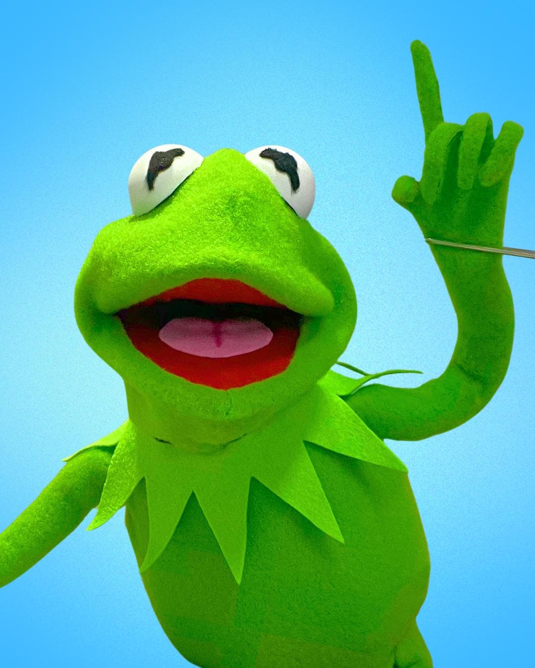 Kermit the Frog Replica - Etsy