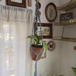 May include: A light blue macrame plant hanger with a terracotta pot holding a green plant. The hanger is suspended from a wooden ring and adorned with beads. The background includes framed artwork and a sheer curtain.