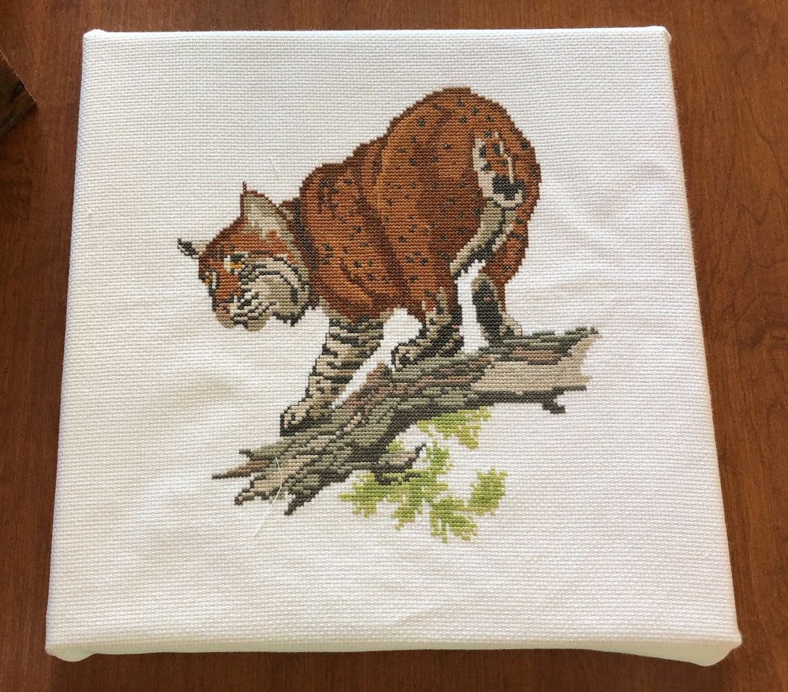 Bobcat Wildlife Finished Cross Stitch Ready to be Framed Etsy