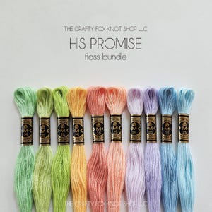 His Promise Rainbow DMC Floss Bundle | Floss Color Palette | DMC Embroidery Thread | Embroidery Thread Bundle | Cotton Embroidery Floss