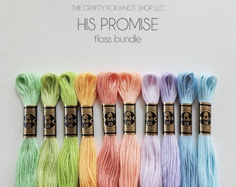 May include: A collection of colorful embroidery floss bundles in shades of green, yellow, orange, pink, purple, and blue. The text "HIS PROMISE floss bundle" is displayed above the floss. Each bundle is labeled with "M-C 25".