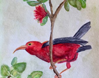 I'iwi bird watercolor digital print